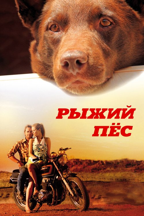 Рыжий пес / Red Dog