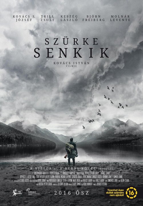 Серые посланцы / Szürke senkik