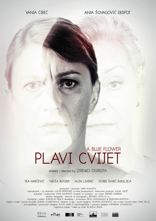 Синий цветок / Plavi cvijet