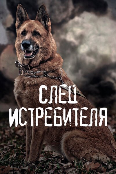 След Истребителя