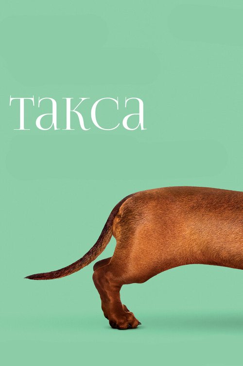 Такса / Wiener-Dog