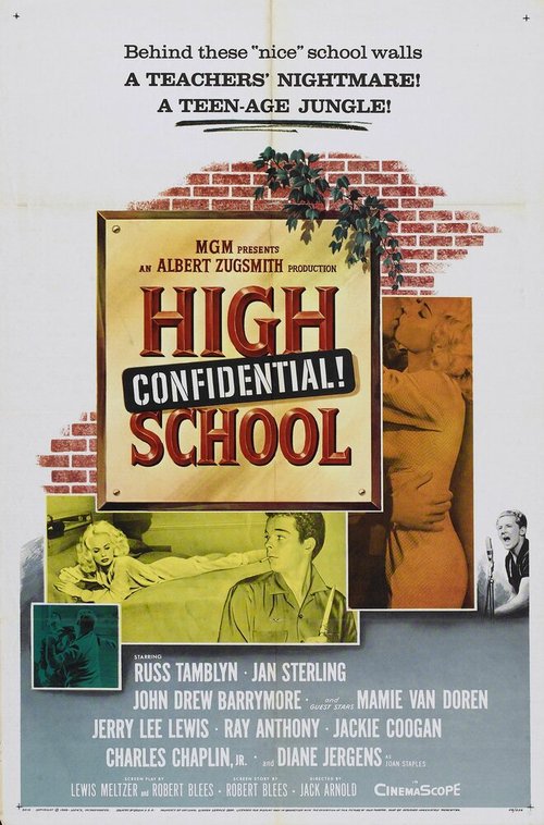 Тайна средней школы / High School Confidential!