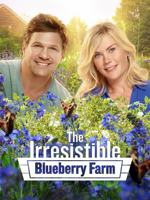 The Irresistible Blueberry Farm