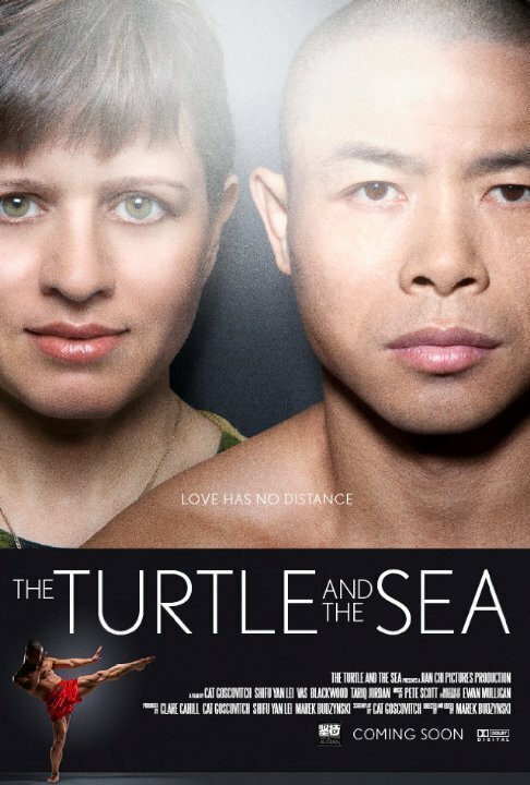 The Turtle and the Sea