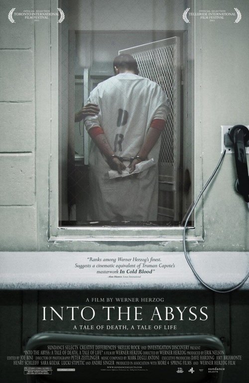 В бездну: Повесть о жизни, повесть о смерти / Into the Abyss