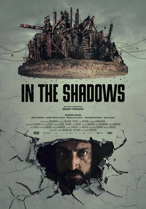 В тени / In the Shadows