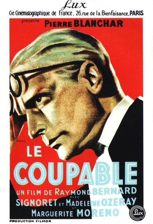 Виновный / Le coupable