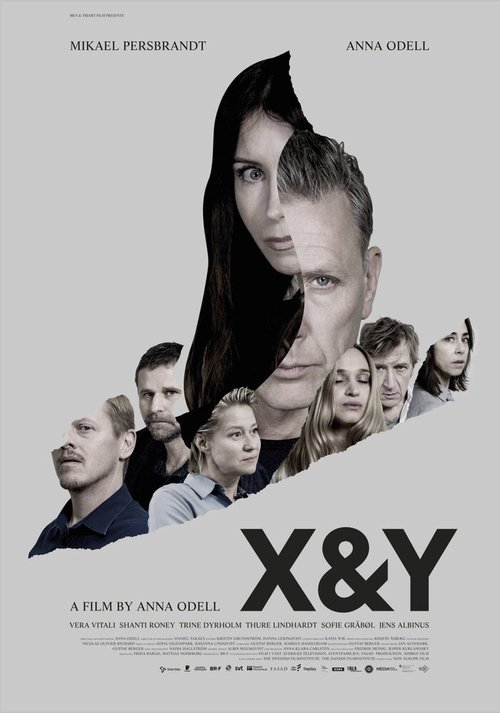 X и Y / X&Y