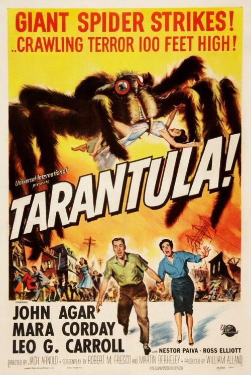 Тарантул / Tarantula