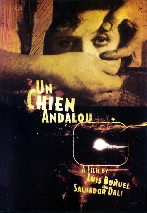 Андалузский пес / Un chien andalou