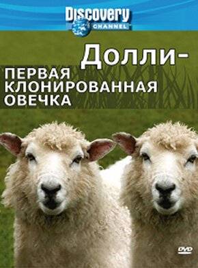 Discovery: Долли — первая клонированная овечка / Dolly: The First Cloned Sheep