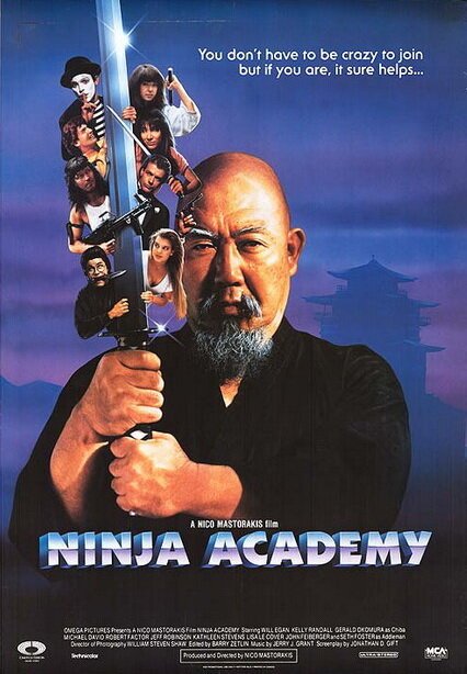 Академия ниндзя / Ninja Academy