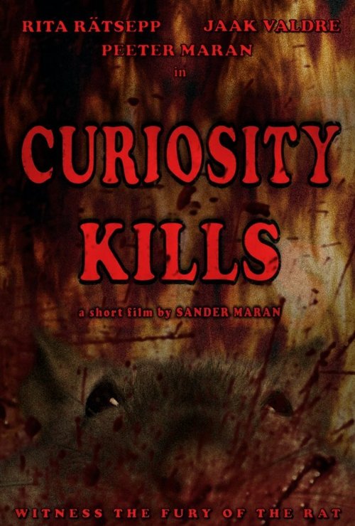 Curiosity Kills