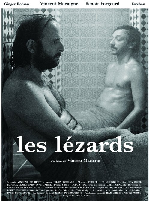 Ящерицы / Les lézards