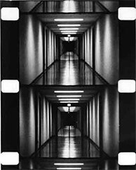 Безмятежная скорость / Serene Velocity