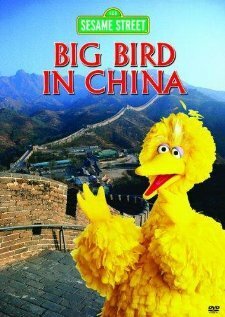 Big Bird in China