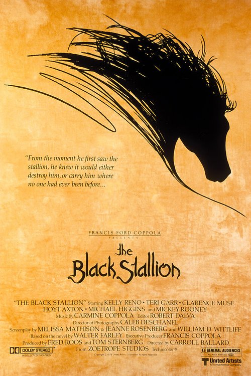 Черный скакун / The Black Stallion