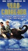 Чудо — слоненок / The Impossible Elephant