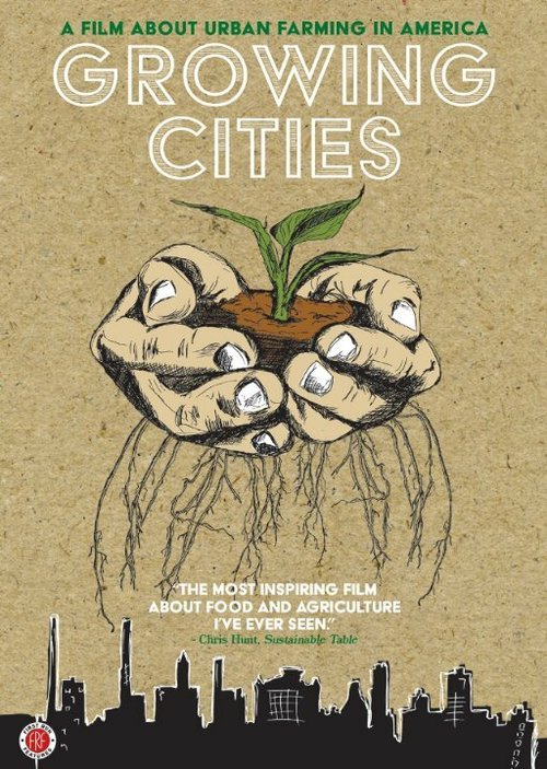 Растущие города / Growing Cities