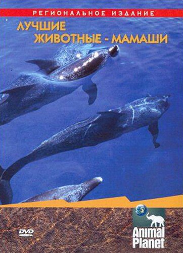 Animal Planet. Лучшие животные-мамаши / Ultimate Animals Moms