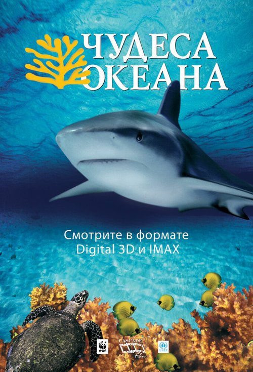 Чудеса океана 3D / Ocean Wonderland